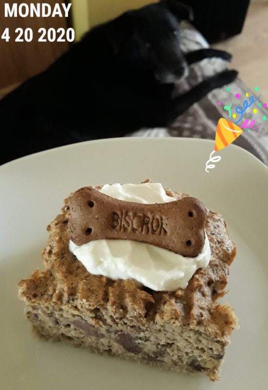 Geburtstagskuchen /-torte für Hunde